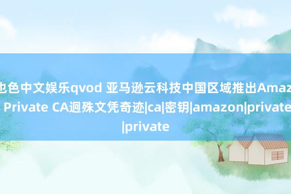 哥也色中文娱乐qvod 亚马逊云科技中国区域推出Amazon Private CA迥殊文凭奇迹|ca|密钥|amazon|private