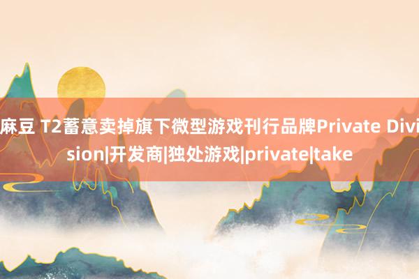 麻豆 T2蓄意卖掉旗下微型游戏刊行品牌Private Division|开发商|独处游戏|private|take