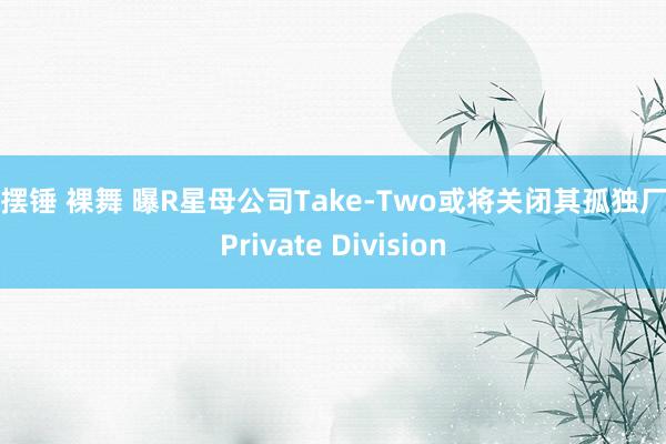 大摆锤 裸舞 曝R星母公司Take-Two或将关闭其孤独厂牌Private Division