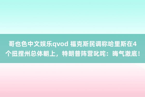 哥也色中文娱乐qvod 福克斯民调称哈里斯在4个扭捏州总体朝上，特朗普阵营叱咤：晦气澈底！