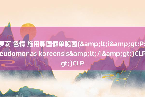 萝莉 色情 施用韩国假单胞菌(&lt;i&gt;Pseudomonas koreensis&lt;/i&gt;)CLP