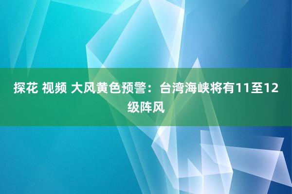 探花 视频 大风黄色预警：台湾海峡将有11至12级阵风