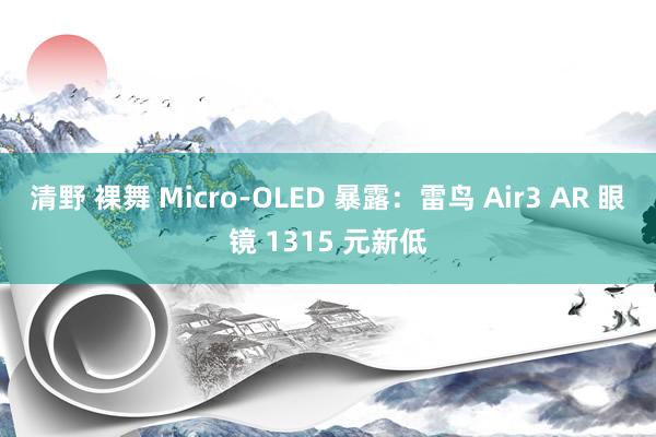 清野 裸舞 Micro-OLED 暴露：雷鸟 Air3 AR 眼镜 1315 元新低