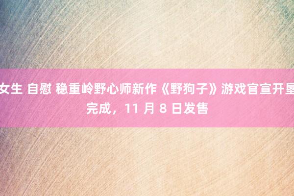 女生 自慰 稳重岭野心师新作《野狗子》游戏官宣开垦完成，11 月 8 日发售