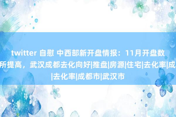 twitter 自慰 中西部新开盘情报：11月开盘数目较上月有所提高，武汉成都去化向好|推盘|房源|住宅|去化率|成都市|武汉市